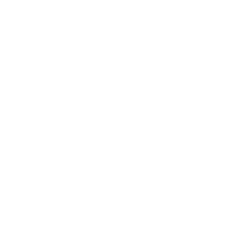 BWL